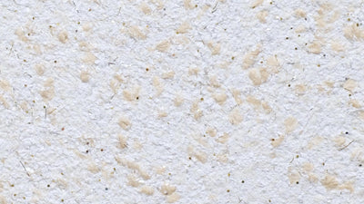 Cotton plaster Economy 2