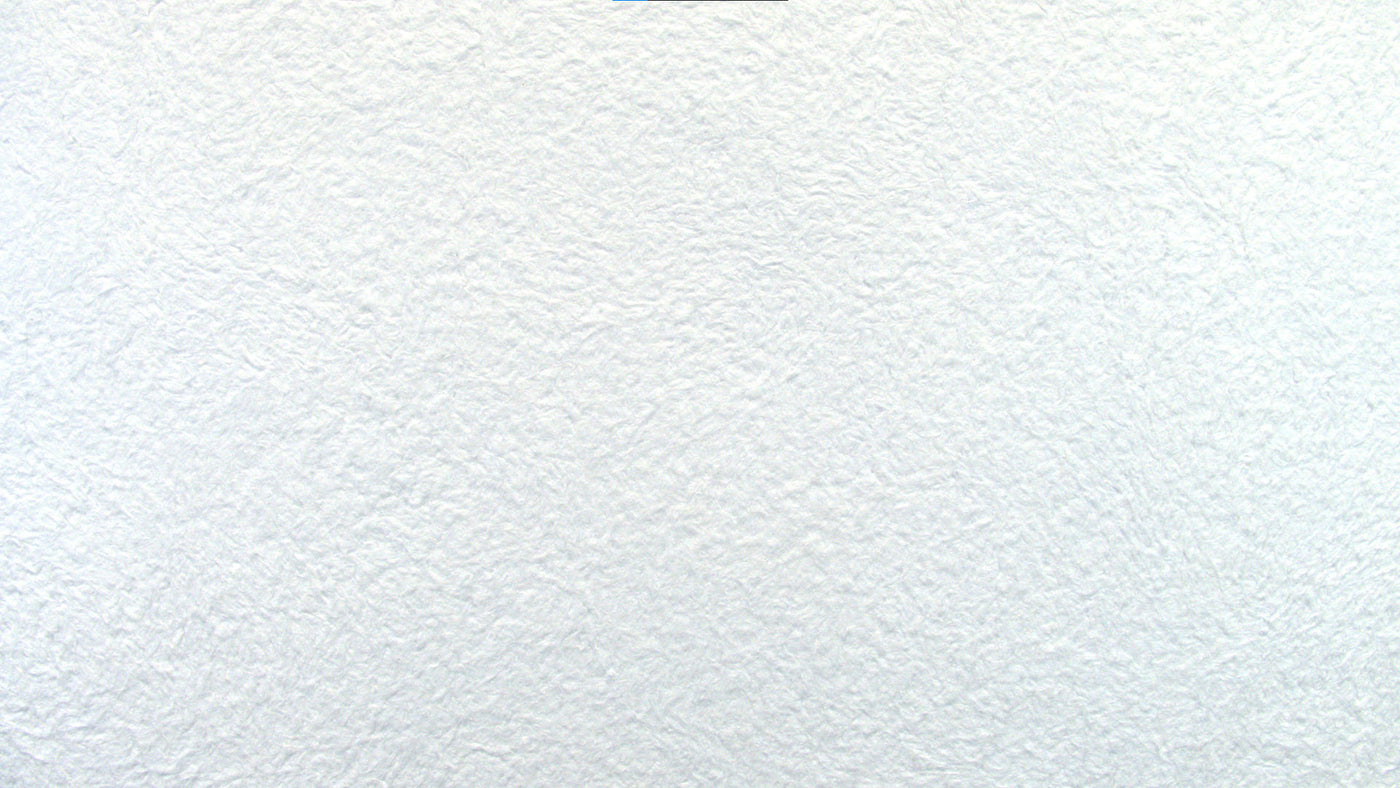 Probierpaket: Farbdekor Weiß Grob + Buch + Kelle